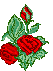 /user/rosedep.gif