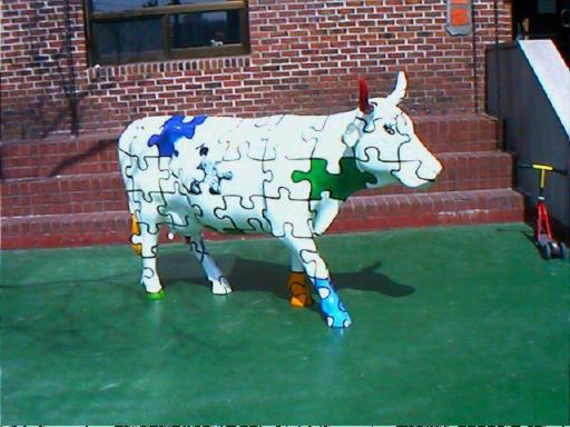 cow1.jpg (39652 Byte)