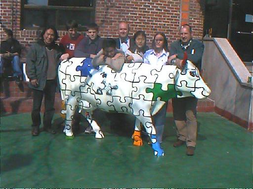 cowteam.jpg (40632 Byte)