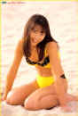 asian22.jpg (33613 bytes)