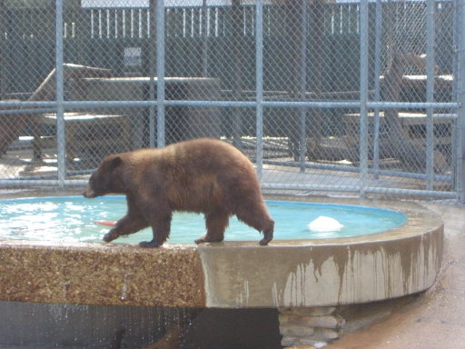 127-2748_img.jpg