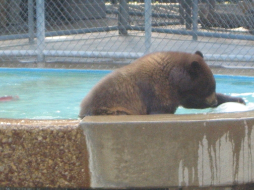 127-2750_img.jpg