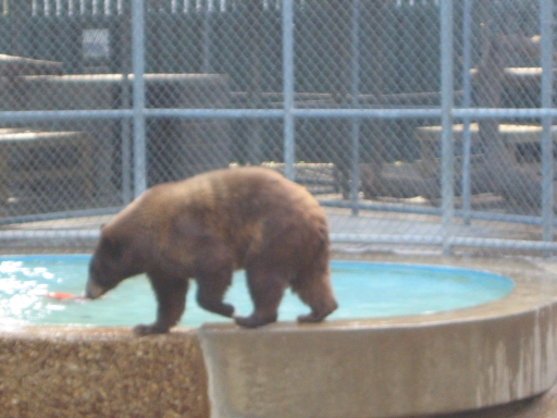 127-2751_img.jpg