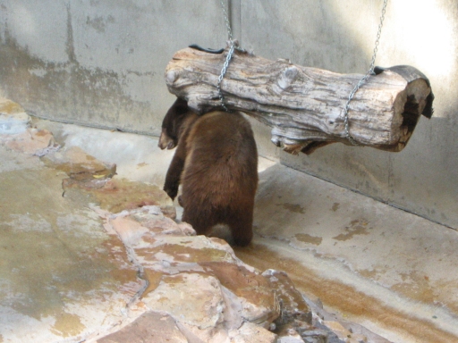 127-2759_img.jpg