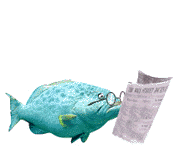 Fish Reading