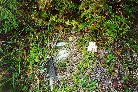 Trash found along the trail.