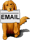 Estou esperando um E-mail Seu.