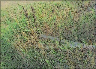artmvc-159f2.jpg

163.08 KB 
636 x 458 
10/9/02
