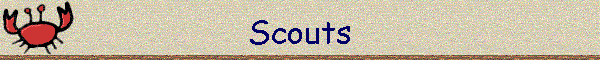 Scouts