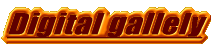 Digital gallely