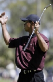 Tiger Woods misses a birdie