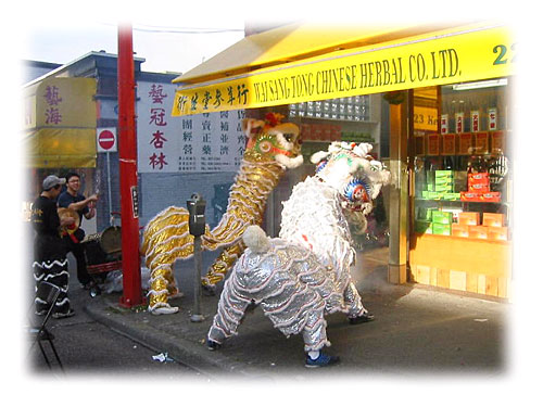 herbal store on Keefer Street - Vancouver Chinatown