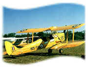 Tiger Moth