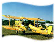 Tiger Moth