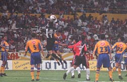 /user/tigres-atlas2.jpg