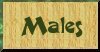 Link to Males Page
