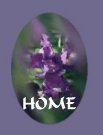 Back to my home page