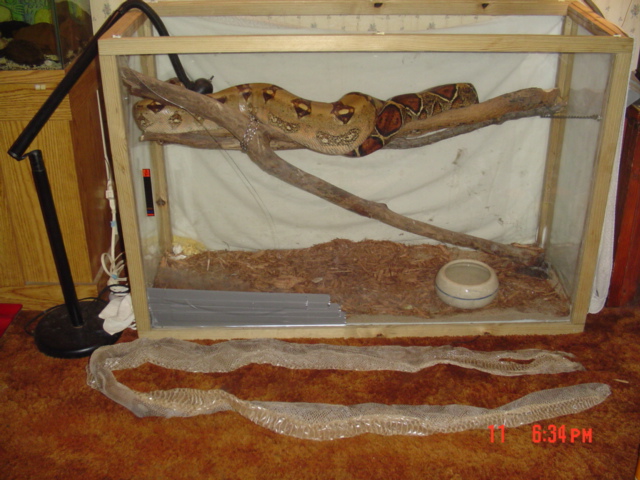 shed&Tank