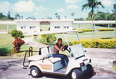Buggy