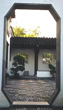 Bonsai & stone-pebbled floor