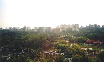 View from the Towering Pagoda