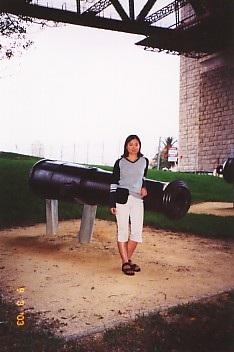 Cannon at Dawes Point