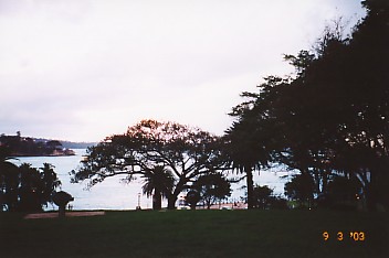 View from Dawes Point