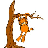 Just Hanging