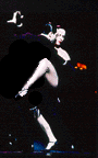 visual demonstrations of the 8 basic tango steps
