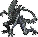 Alien