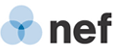 new economic foundation