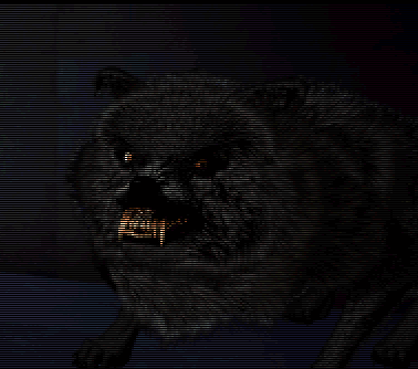 Yeah, its another wolf