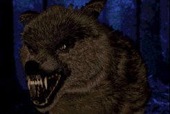 Yeah, its a wolf