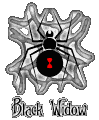 Go to Black Widow Home Page