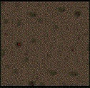 DeadPlanet.gif (5373 bytes)