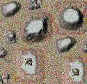 jingo.gif (10966 bytes)