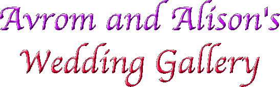Avrom and Ali's Wedding Gallery