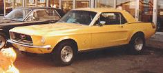 Mustang