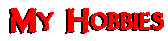 My Hobbies