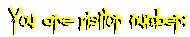 visitor number: