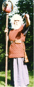 le druide, puissant mage