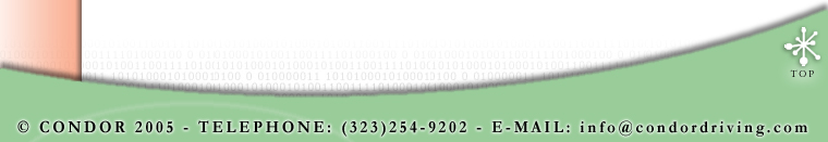 bottom.jpg - 73266 Bytes