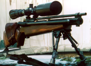 picture of the sportsman lever