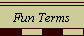 Fun Terms