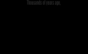 Words of Raiden