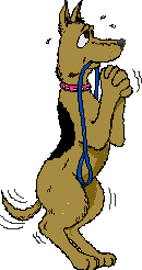 et bilde av en flink bisk