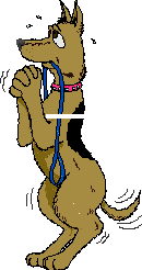 et bilde av en flink bisk