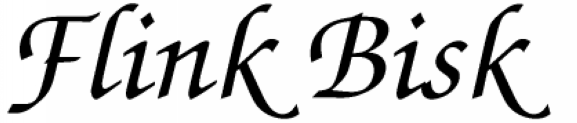 Flink Bisk