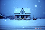 Killoran House at Christmas