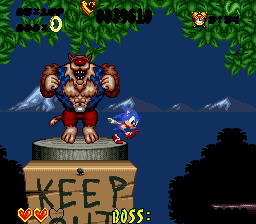 HAHAHA Sonic, I will Destroy YOU!!!
